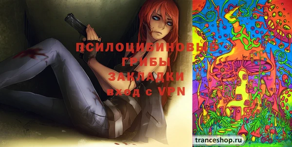 Альфа ПВП Майский