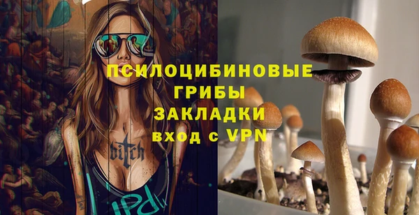 Альфа ПВП Майский