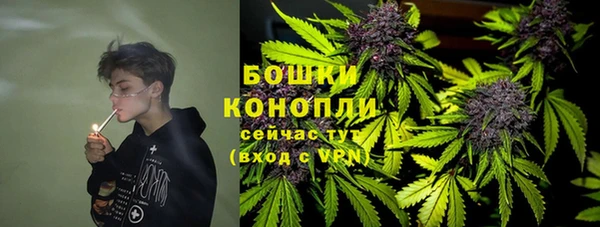 Альфа ПВП Майский
