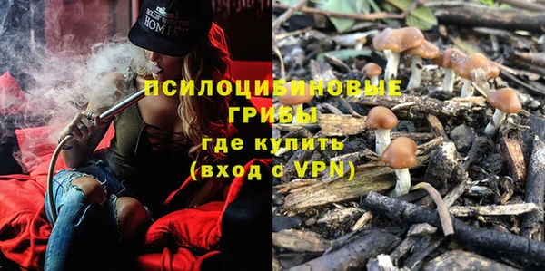 дурь Медвежьегорск
