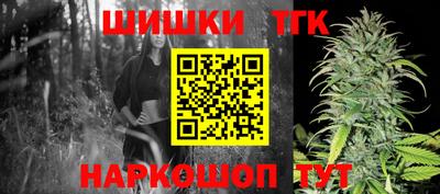 индика Беслан