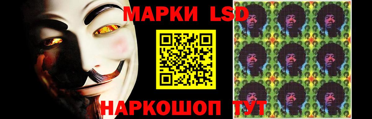 МЕФ Мурино