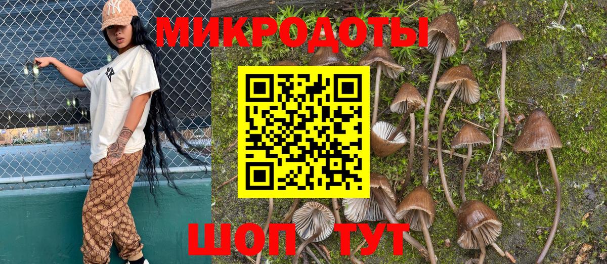 наркотики  Псилоцибиновые грибы Psilocybine cubensis  Мурино  Галлюциногенные грибы Psilocybine cubensis 