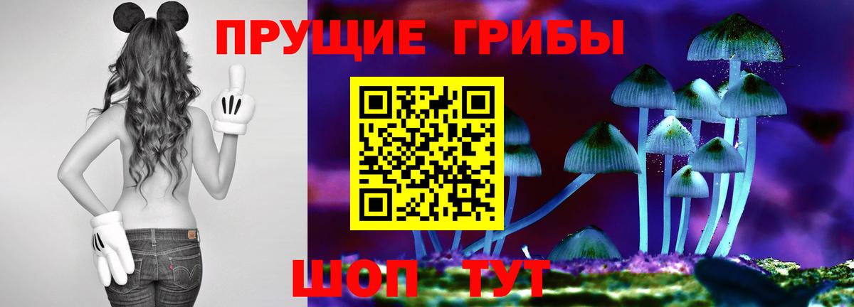 Псилоцибиновые грибы Magic Shrooms  Вход с VPN  что такое   Мурино 